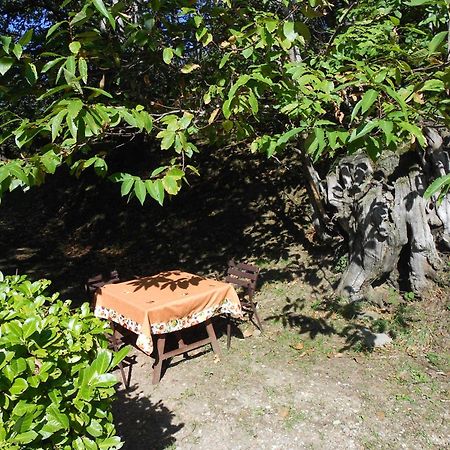 فيلا Castelfranco di Sopraفي Fattoria Il Praticino المظهر الخارجي الصورة