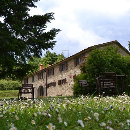 فيلا Castelfranco di Sopraفي Fattoria Il Praticino المظهر الخارجي الصورة
