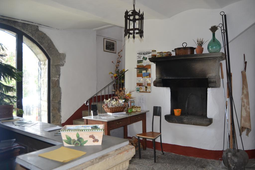 فيلا Castelfranco di Sopraفي Fattoria Il Praticino المظهر الخارجي الصورة