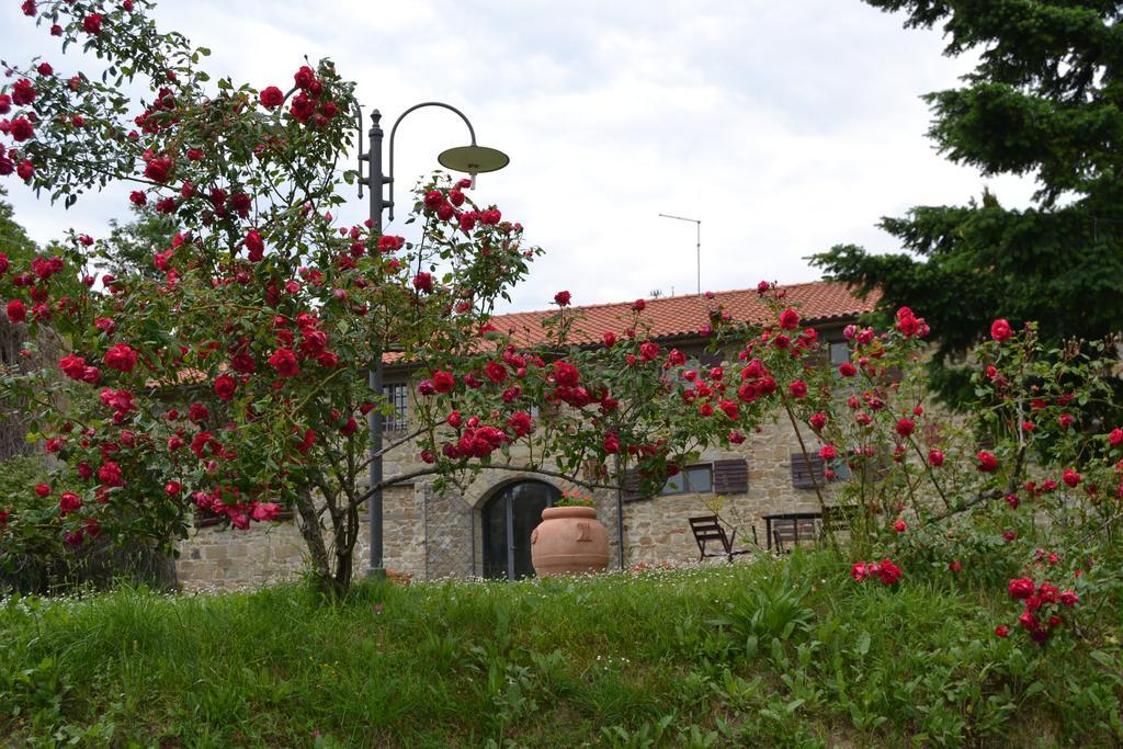 فيلا Castelfranco di Sopraفي Fattoria Il Praticino المظهر الخارجي الصورة