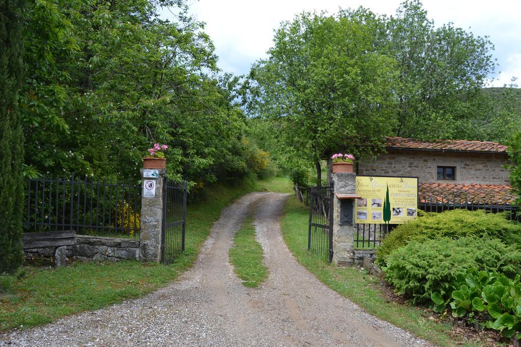 فيلا Castelfranco di Sopraفي Fattoria Il Praticino المظهر الخارجي الصورة